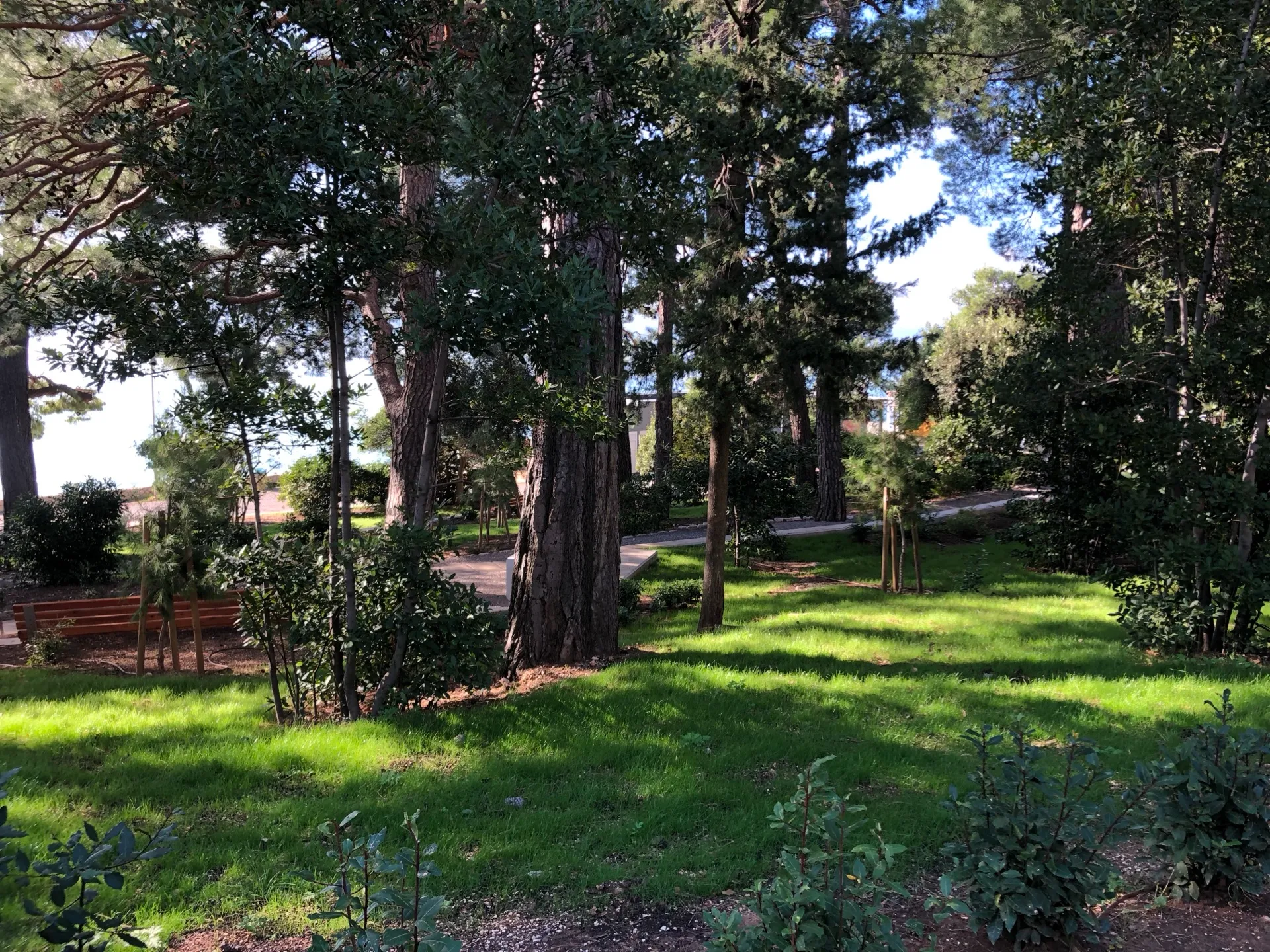 Green park and natural shade behind Lišanj Beach in Novi Vinodolski