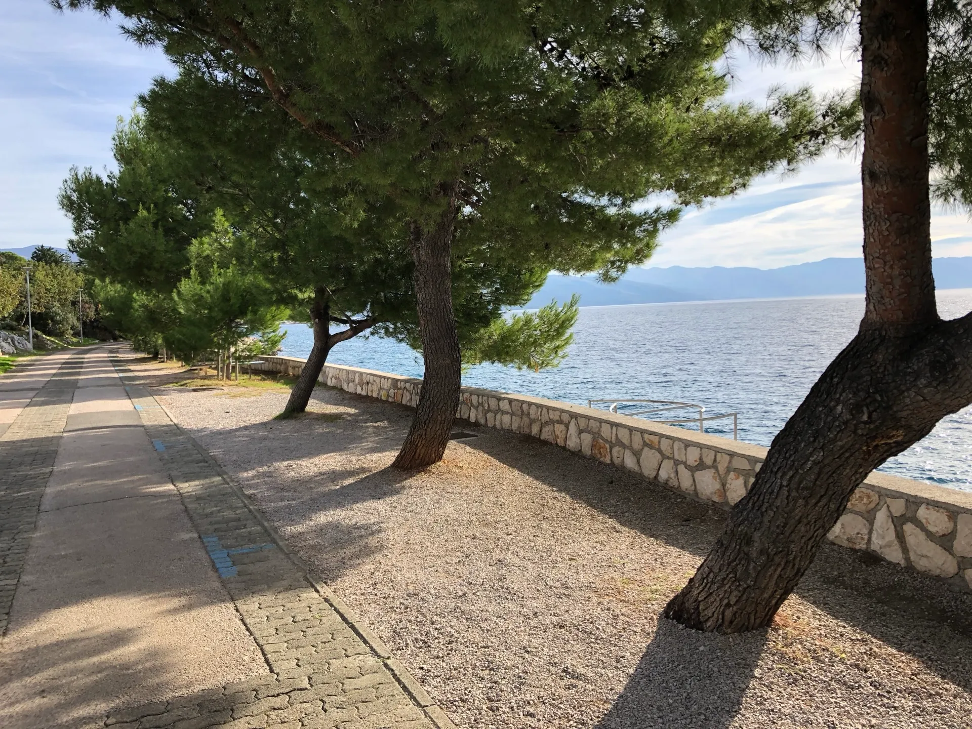 Pine shade along the Obala Petra Krešimira IV coastal walk