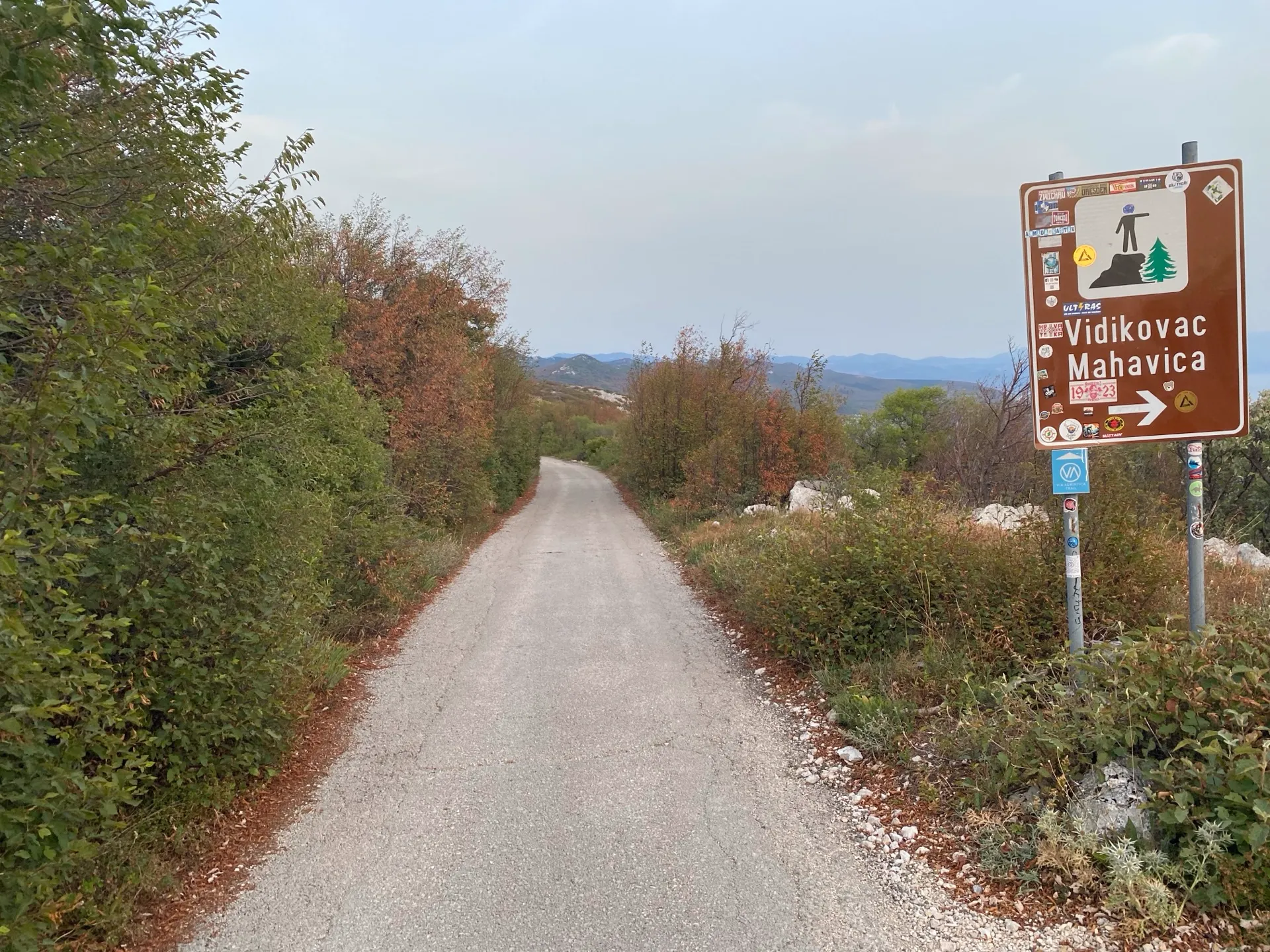 Narrow paved forest road approaching Mahavica